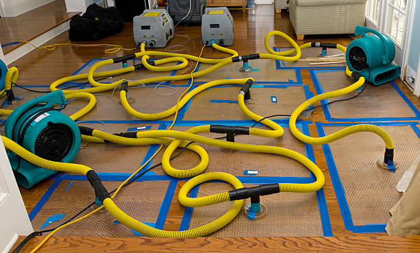 Professional Flood Damage Restoration technician working in Scotts Hill, TN
